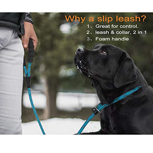 Haapaw Slip Lead Dog Leash with Comfortable Padded Handle Reflective, Mountain Climbing Rope Dog Training Leashes for Large Medium Small Dogs(2 Packs, 6 FT) (Slip Leash, Black/Blue)