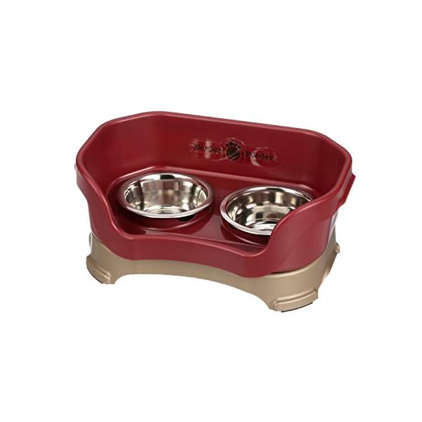 Small Dog Deluxe Neater Feeder