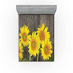 Ambesonne Sunflower Fitted Sheet, Helianthus