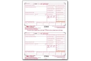 EGPCHECKS EGP IRS Approved W-2 Laser Tax Form, Federal Copy A, Quantity 100 Recipients