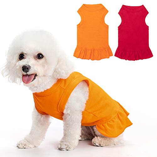 small dog tee shirts