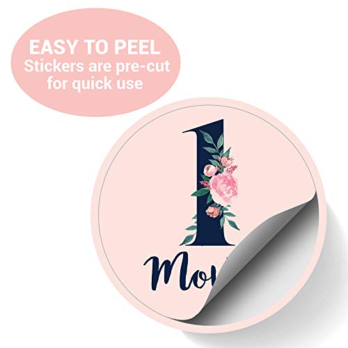 3 Monthly+Stickers+Floral+Milestone+Newborn