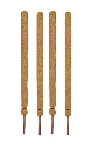 Coir garden Coco Pole 3 FT(91 cm) - 4 Pieces - Moss & Coir Stick for Money Plant Support, Indoor Plants, House Plants & Plant Creepers.