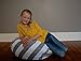 Stuffed Animal Storage Bean Bag Chair - Premium Canvas - Clean up the Room and Put Those Critters to Work for You! - By Creative QT