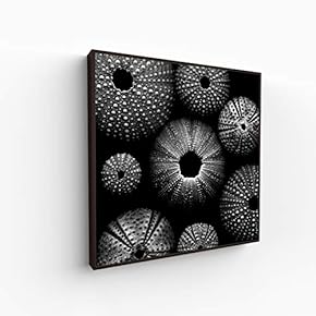 Canvas Wall Art for Living Room, Bedroom Monochrome Image Framed Canvas Prints for Home Decoration Ready to Hang - 16x16 inches