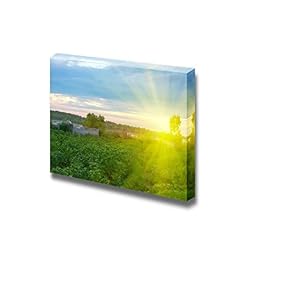 Beautiful Sunset in Peaceful Green Garden Wall Decor