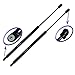 Two Rear Glass Gas Charged Lift Supports For Back Window on 2004 Nissan Pathfinder Armada, 2005-2015 Nissan Armada, 2004-2010 Infiniti QX56. WGS-229-2