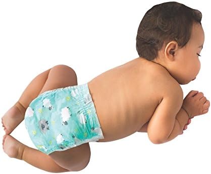 honest company overnight diapers size 4