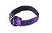 “Classic Comfort Dog Collar” Premium Nylon Neoprene Padded Dog Collar for Small Sized Dog Comfortable Collar for Your Dog by Wagtime Club (Vibrant Purple) SM