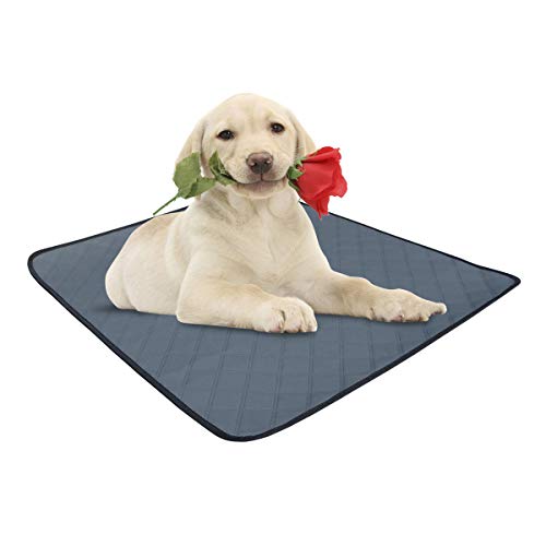 Luzvida Dog Puppy Pee Pads 2 Pack Reusable Washable Leak Proof Pet Training Pad Mat with Fast Absorbing Surface and Nonslip Dots for Indoor and Outdoor Use (35.4\