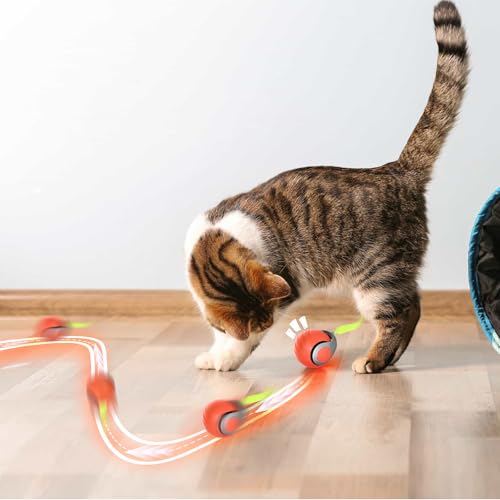 Gerbala Cat Toys, Electric Cat Toy Ball, 2025 New Magic Ball for Dogs, Cats in Smart Home Automatic Rolling (Orange)