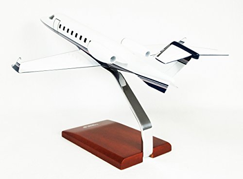 Learjet 45 - 1/35 scale model - 1/35 scale model