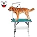 Free Paws Heavy Duty Stainless Steel Pet Rubber Surface Grooming Table with Arm and Noose