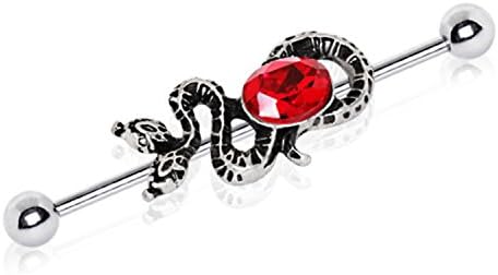 Two Headed Snake with Ruby Red CZ Industrial Barbell 316L Stainless Steel Size 14GA 1&1/2" Little Aiden