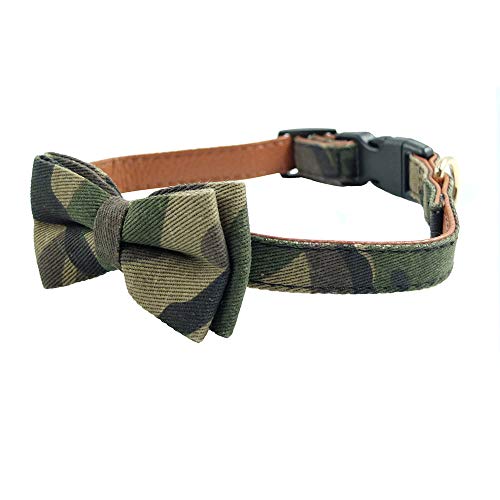 large dog collar with bow