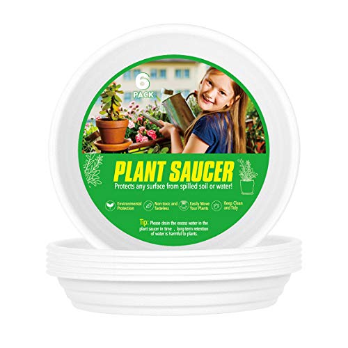 XOV Plant Saucer 6 Inch Trays Flower Pot Heavy Duty Plastic Drip Tray for Indoor Outdoor Garden Planter Accessories (White 6 inch)