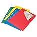Day-Timer ColorLife Loose-Leaf Slash Pockets, Desk Size, 5.5 x 8.5 Inches, Assorted Colors, 4 Pack (87298)