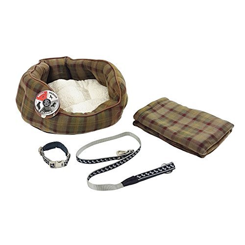 4 Piece De Luxe Chiot Chien Noir Kit De Démarrage Petit Lit