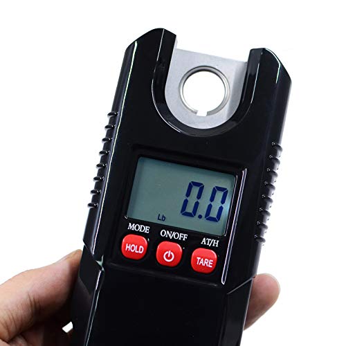 Patient Lift Scale