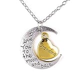 Xeminor Premium I Love You To the Moon and Back Necklace Family Pendant Alloy Necklace grandma