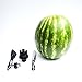 Fruit Keg Tapping & Spout Kit: Stainless Steel Drink Dispenser Set for Pumpkins & Other Fruits - Fun Home Bar Gadgets & Cocktail Party Supplies