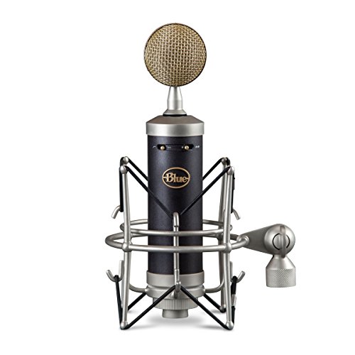 Blue-Microphones-Baby-Bottle-SL-Large-Diaphragm-Condenser-Microphone