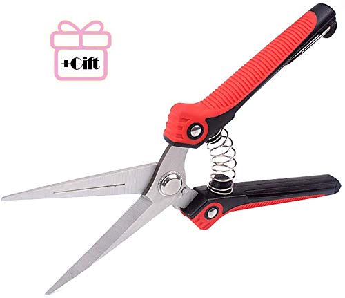 Aynice Pruning Shears, Professional Gardening Shears, Stainless Steel Ultra Sharp Multi-Purpose Hand Pruner Scissors for Garden Harvesting Fruits, Vegetables, Trimming Flowers and Plants