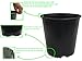 Viagrow VHPP500-10 VHPP Nursery Pots, 5 Gallon, Black