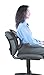 Fellowes Office Suites Mesh Back Support (8036501)