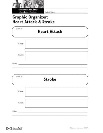Amazon.com: Brainstorm Interactive Know it All Science Graphic