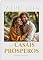 Livro 28 Pilares de Casais Prósperos