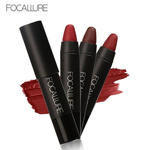 lip gloss,BeautyVan FOCALLURE Long-lasting Red Velvet Matte Color Pencil Lipstick Crayon Makeup Set (A)