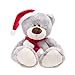 WILDREAM Christmas Plush Teddy Bear Stuffed Animals with Christmas Hat First Teddy Bear Plush for Boys Girls Soft Gifts for Thanksgiving Day/Birthday Christmas 10.8 Inches (Light Gary)
