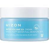 MIZON Water Volume EX Cream, Moisture Deep Hydration Cream Soft Skin Korean skin care (100ml/ 3.38 fl oz)