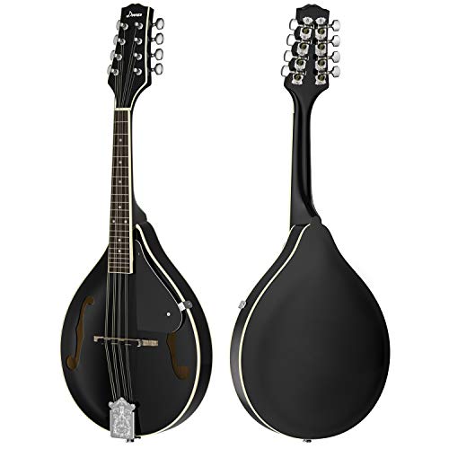 5 Donner+Mandolin+Instrument+Sunburst+DML+100B