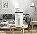 USB Car Cool Mist Humidifier, Mini 300ml Portable Desktop Essential Oil Diffuser Cup Ultrasonic Aromatherapy Air Purifier Filter No Water Auto Shutoff with LED Night Light Whisper Quiet for Office