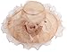 SAFERIN Women's Organza Church Kentucky Derby Hat Feather Veil Fascinator Bridal Tea Party Wedding Hat (SF4-Champagne)