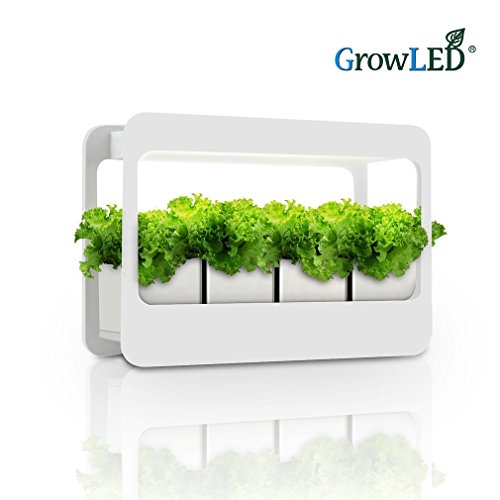 GrowLED Plant Grow Light LED Indoor Garden Light, Kitchen Garden with Timer Function, 24V Low Safe Voltage, Ideal for Plant Grow Novice Or Enthusiasts, Various Plants, DIY Decoration, White Grow Light