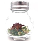 1 Inch Stegosaurus Desk Pet with Adoption Certificate STEM Novelty Gift