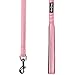 Blueberry Pet 3M Reflective Pastel Color Dog Leash with Soft & Comfortable Handle, 4 ft x 1