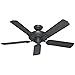 Hunter Fan Company Ceiling, 52-Inch, New Bronze Finish