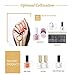 BORN PRETTY 4Pcs Nail Stamping Plate Valentine's Day manicuring Nail Art Image Template DIY Decoration with 2Pcs BORN PRETTY Scrapers for Gift