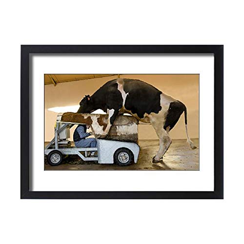 Media Storehouse Framed 24x18 Print of BIO15416 (15448803)