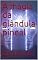Livro A  magia da glândula pineal