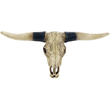 Pine Ridge Southwestern Bull Longhorn Skull Steer Bull Head Rustic Chic Wall Hanging Texas Decoration | Polyresin Steer Horns for Wall Sculpture | Replica Real Steer Bull Skull Head Aged Finish Brown