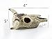 Leoyoubei Aquarium Shape beautification Decoration, Fish Turtle Hidden, Bonsai beautification. Shrimps & Snails Love Them. (Cattle Skull)thumb 1