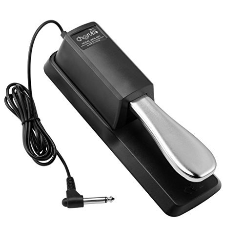 Sustain Pedal for Keyboard, LESHP Damper Sustain Pedal, 6 feet cable with 1/4 inch plug For Yamaha Piano Casio Keyboard Sustain Ped, Yamaha, Roland, Casio, Korg, Behringer, Moog - Universal Foot Pedal
