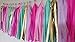 25 PCS Tissue Paper Tassel DIY Party Garland Decor for All Events & Occasions(Pastel)