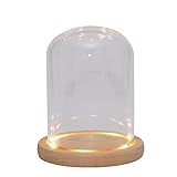 Nynelly 3.5" D X 4.7" H Clear Glass Dome Cloche