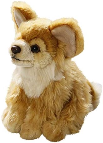 chihuahua soft toy
